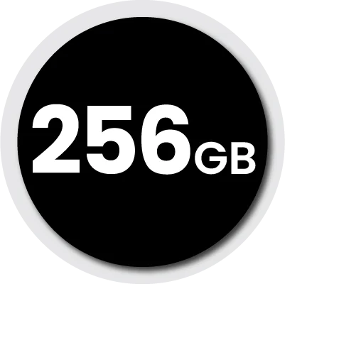 256